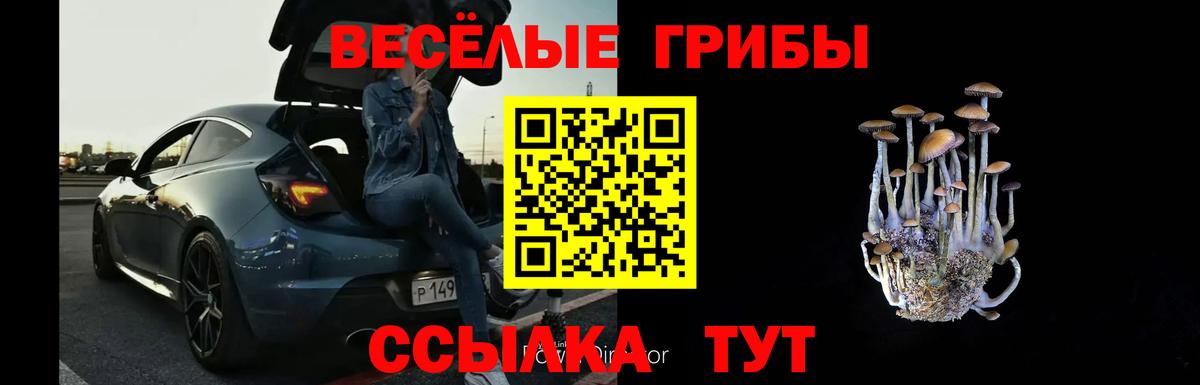 Псилоцибиновые грибы мицелий  Псилоцибиновые грибы Cubensis  Вход с VPN  Юрга 